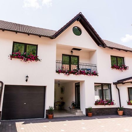 Vila Rodica Transalpina Şugag 外观 照片