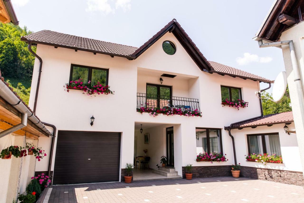 Vila Rodica Transalpina Şugag 外观 照片