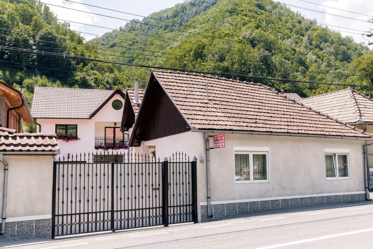 Vila Rodica Transalpina Şugag 外观 照片