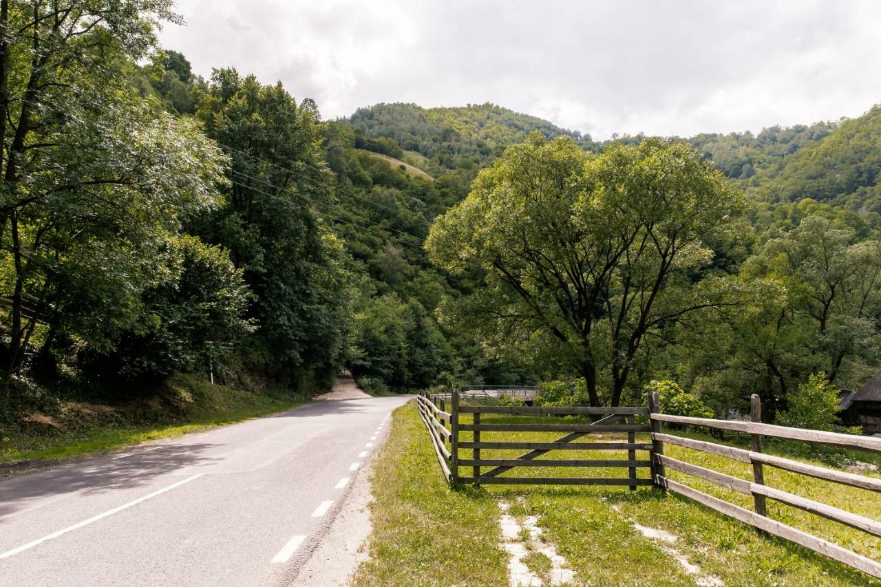 Vila Rodica Transalpina Şugag 外观 照片