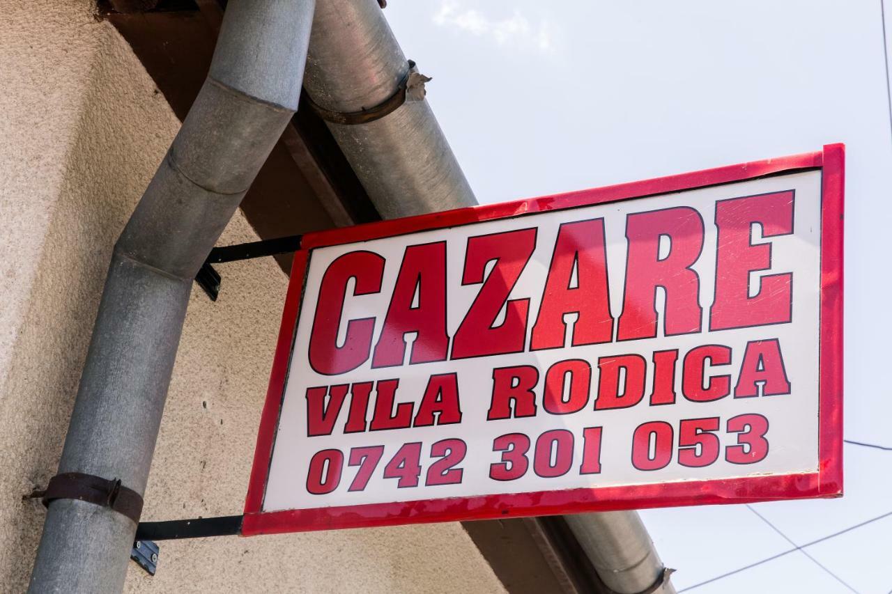 Vila Rodica Transalpina Şugag 外观 照片