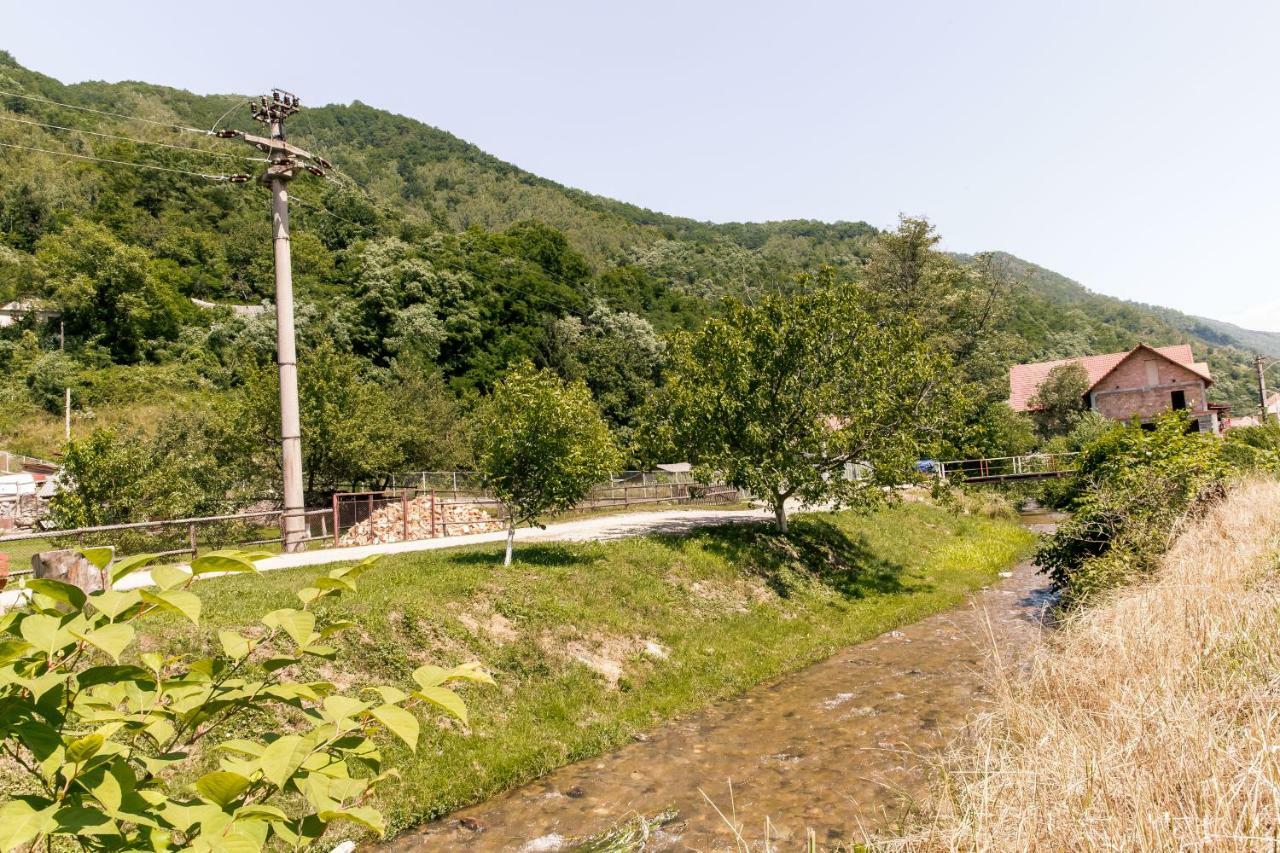 Vila Rodica Transalpina Şugag 外观 照片